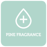 pine fragrance